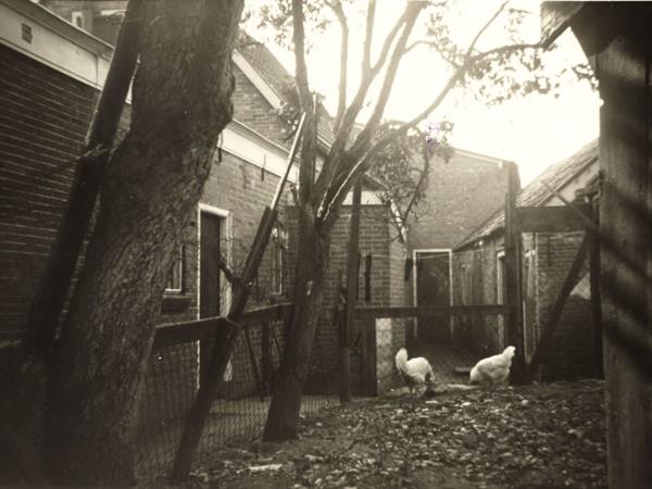 Over ons | Alzerda & Dam